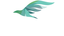 Full View logo