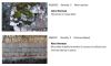 Example data from roof inspection report