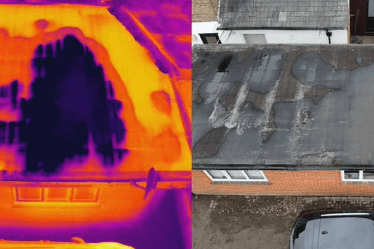 Full View Thermographic Comparison