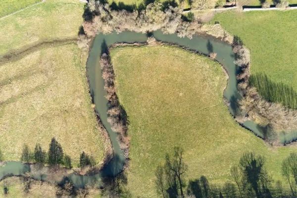 Aerial view of a field